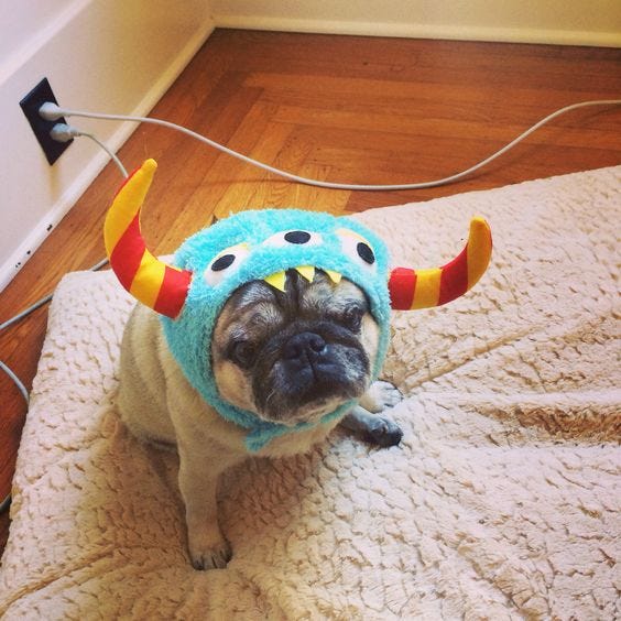 Pugs, death & grief Barry W. Enderwick Medium