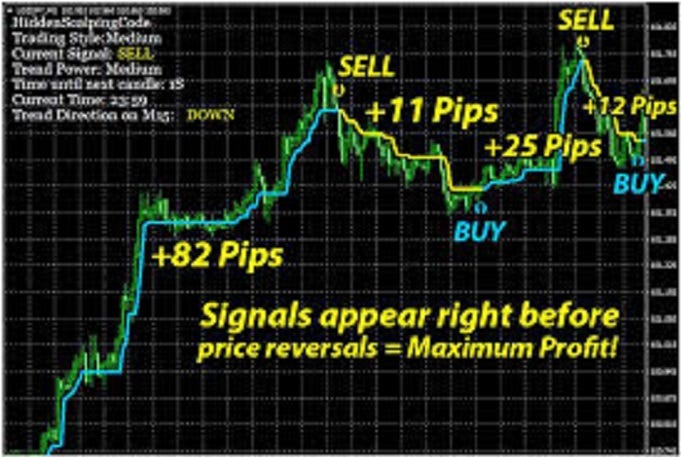 What On Earth Is Forex Trading Software Money Pileea Medium - 