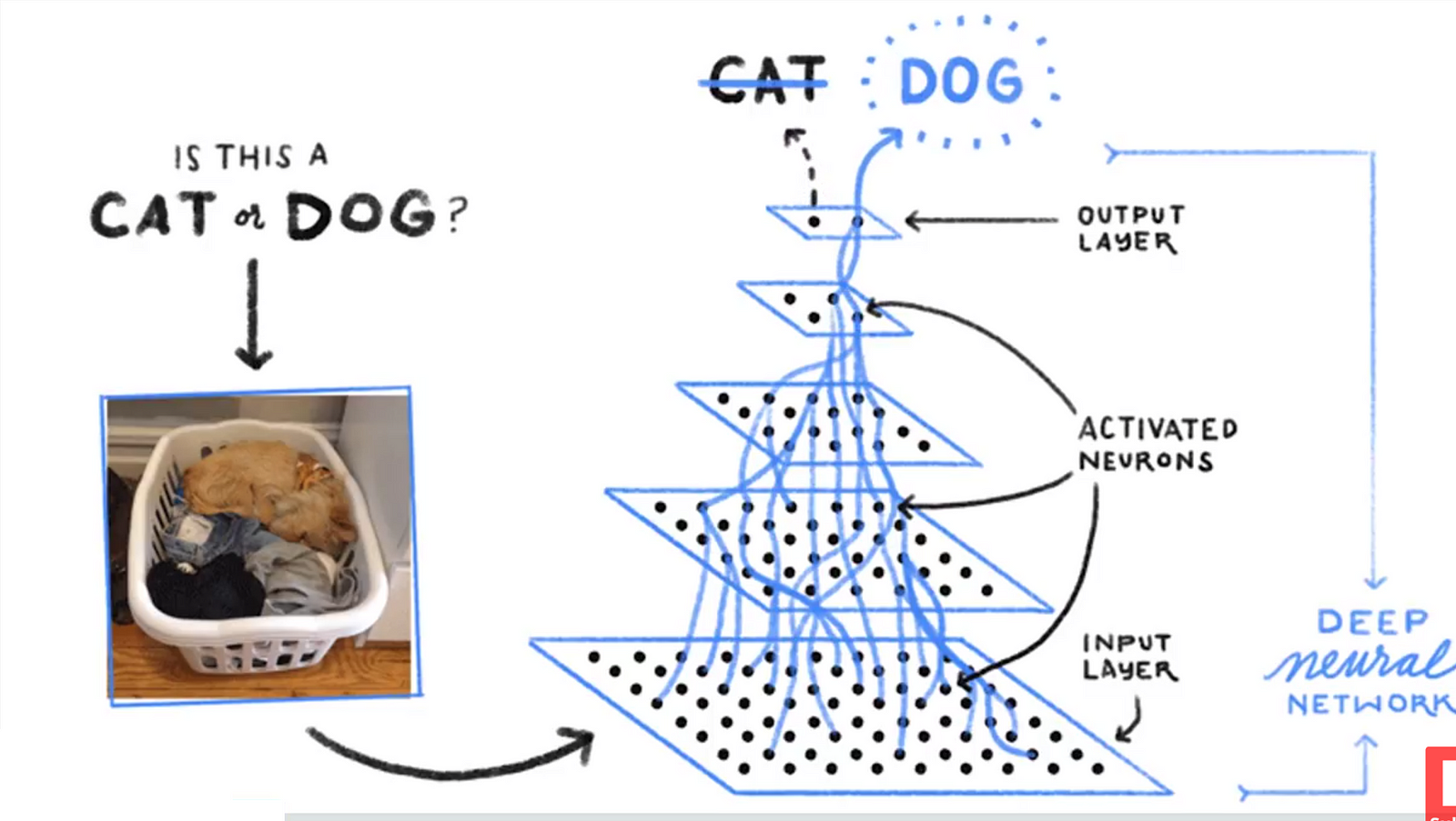 Ai Cat Dog Meme