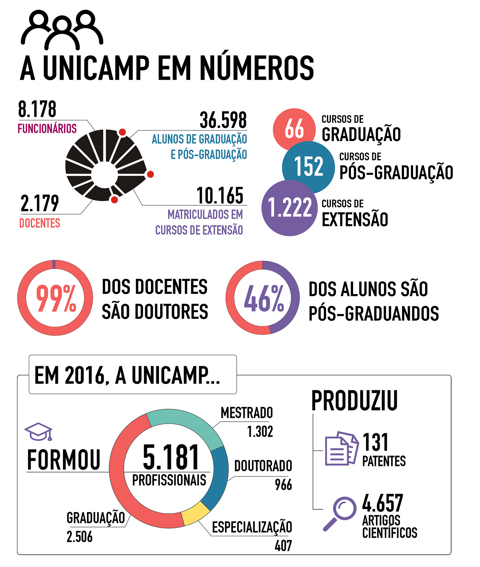 Infográfico: UNICAMP em números – Sarah Azoubel Lima – Medium