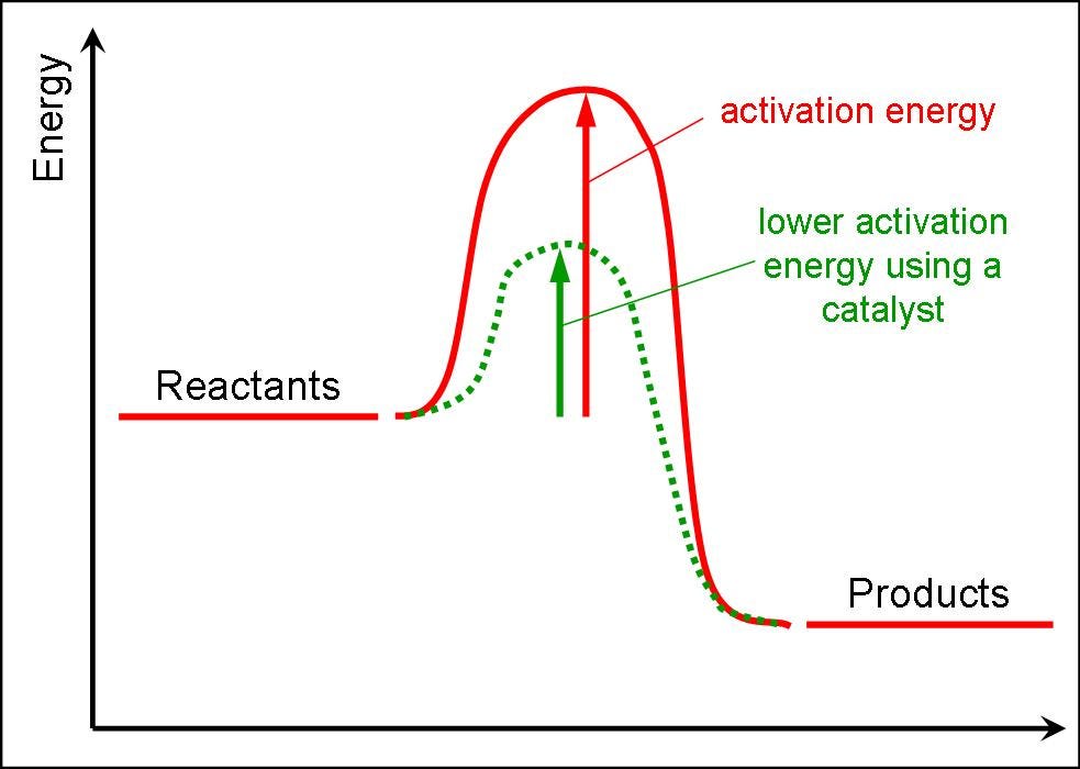 Customer Activation Curve Frontiers Medium