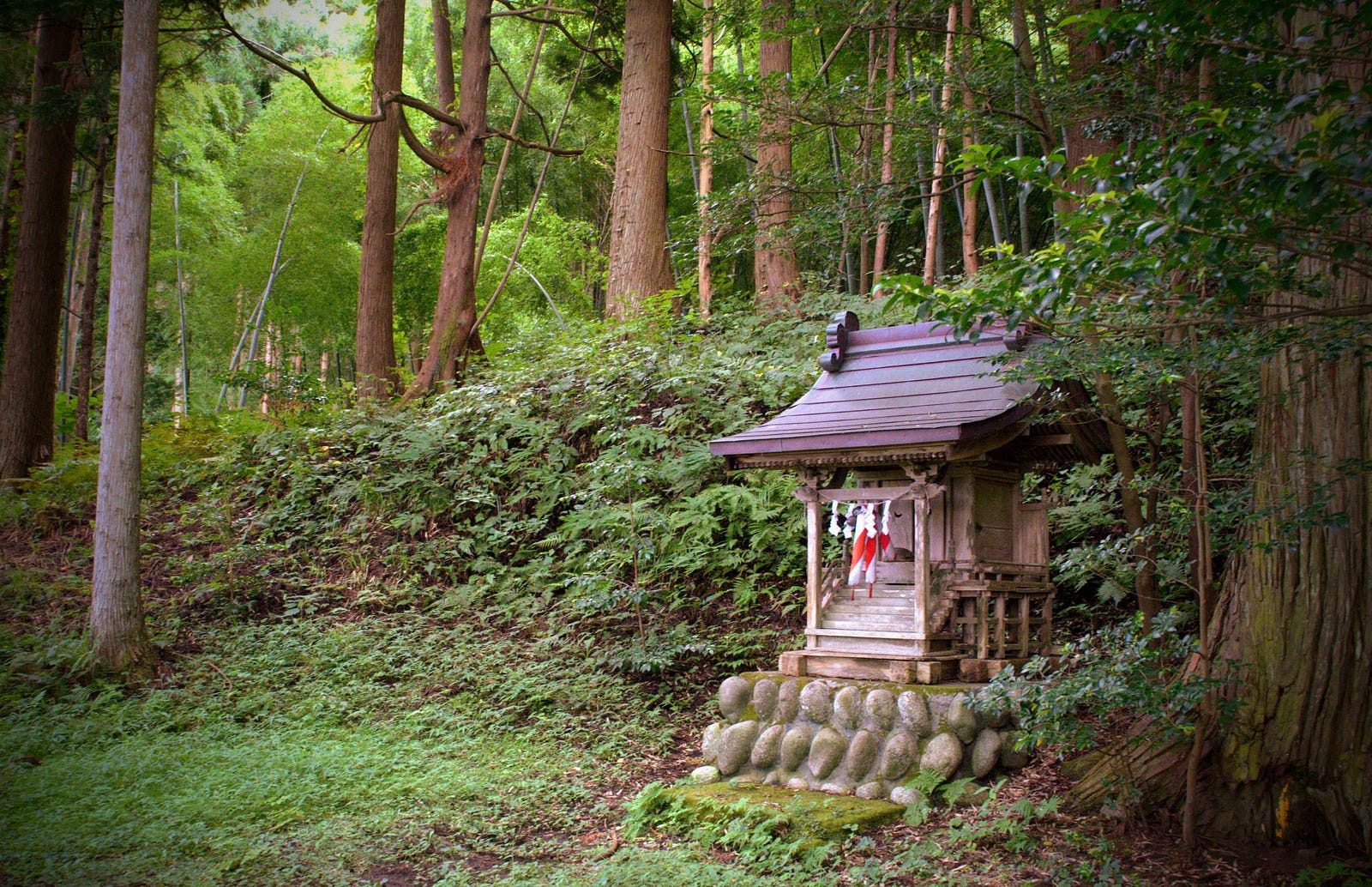 The small shrine of Minagawa Shrine sits atop a rock foundation with a lush green forest in the background near the Shishihata Trailhead up Mt. Fujikura