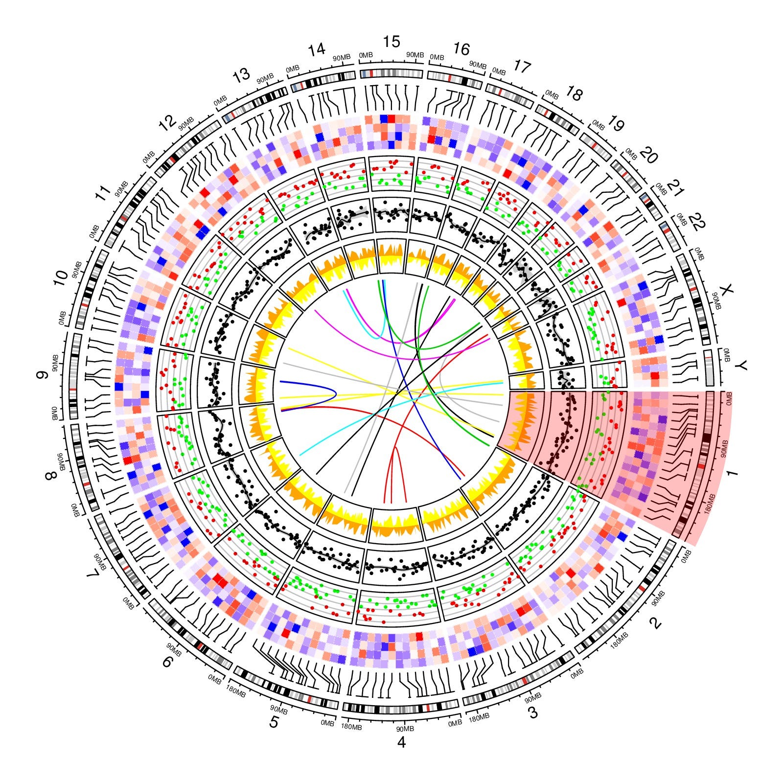 Making genomic data come alive with circos plots – Maria Nattestad – Medium