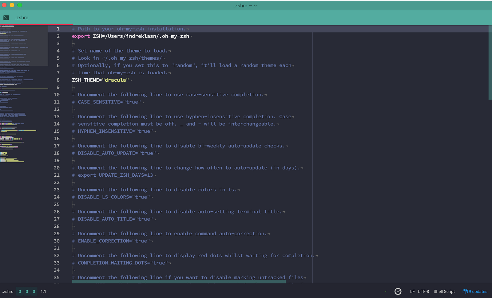 Text Editor With Terminal For Mac