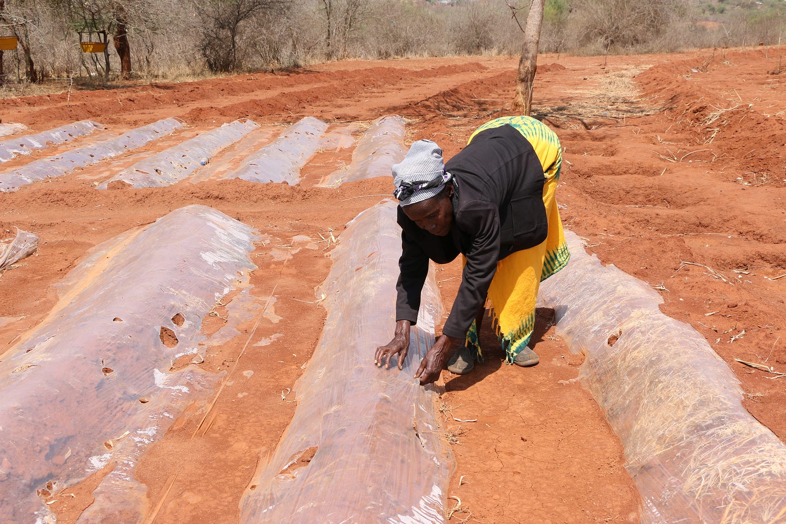 crop-insurance-eases-burden-on-farmers-in-southern-kenya