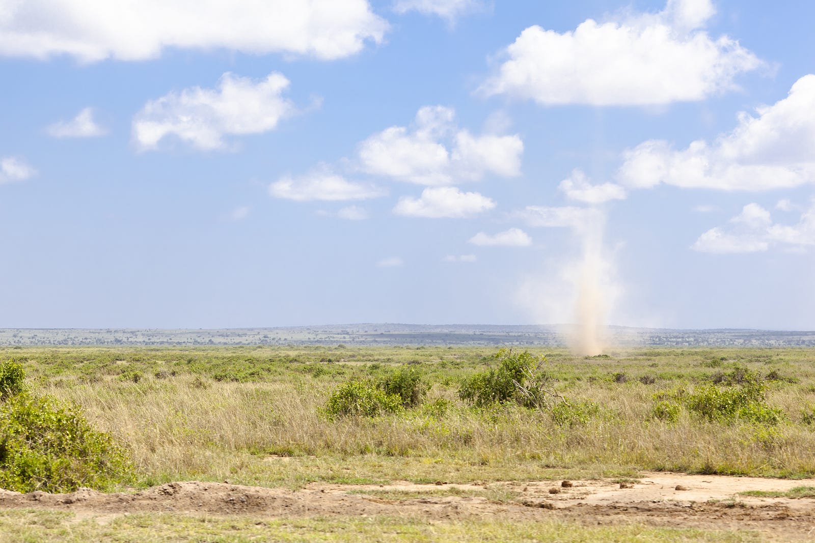 Dust Devils: Fun on the Ground?—? Deadly Above It
