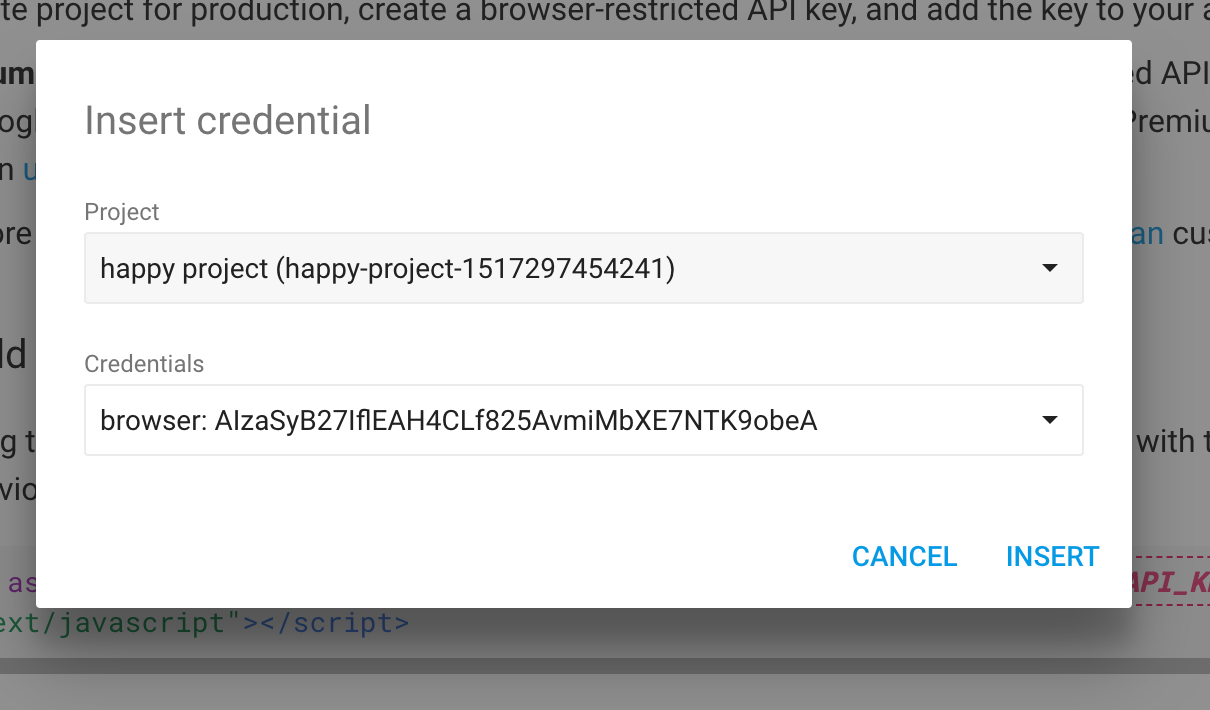 How to get a key from Google Maps JavaScript API Kleine Hassler