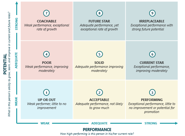 Using a Nine-Box Matrix to Understand IDEA’s Talent Pipeline