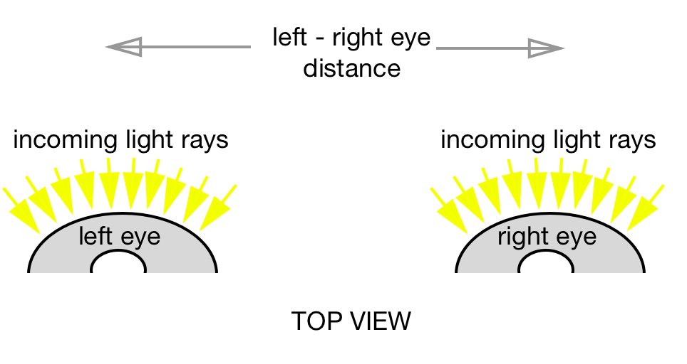 What Is Normal Depth Perception