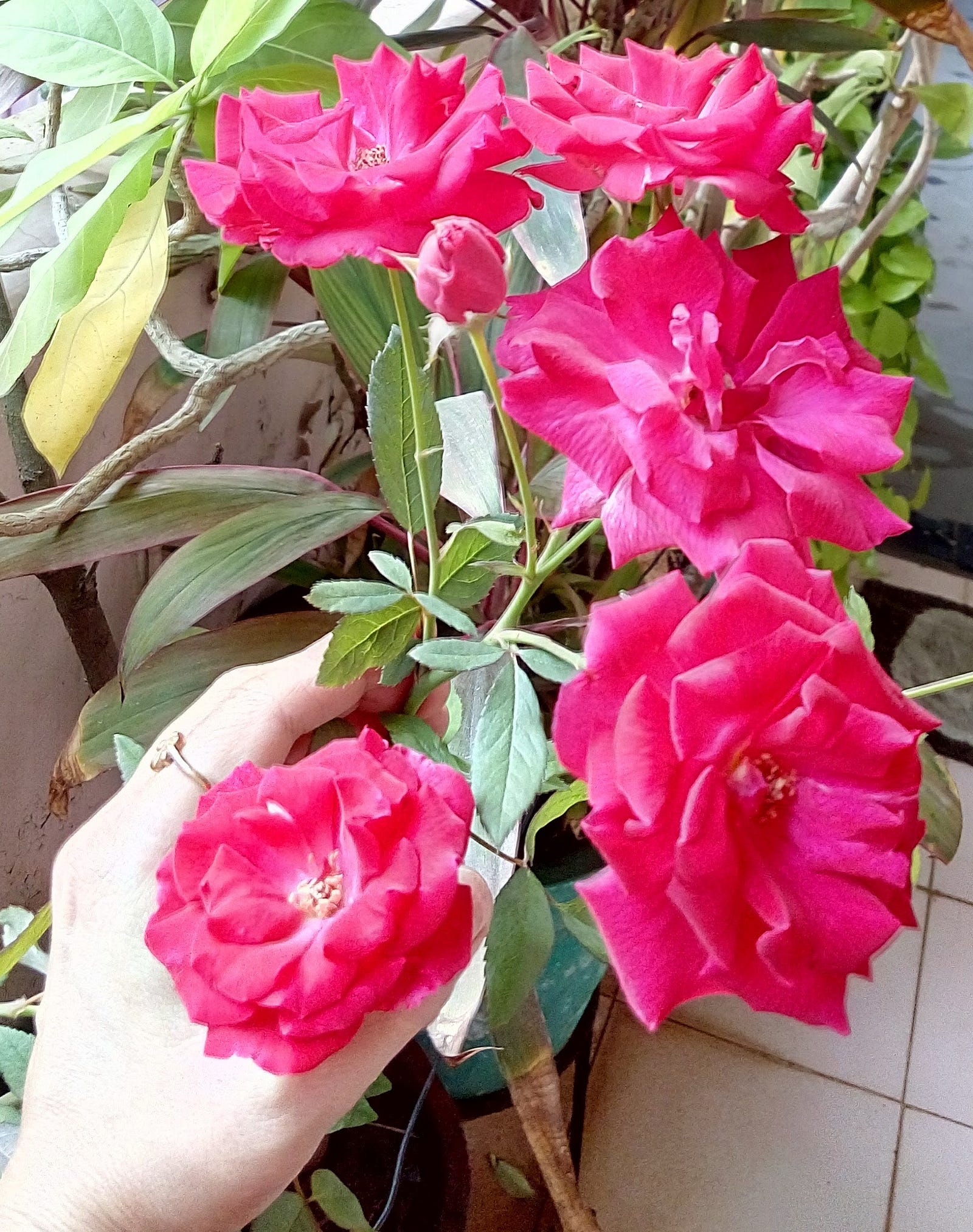 Lakshmi Gayathri Lakshmi Gayathri