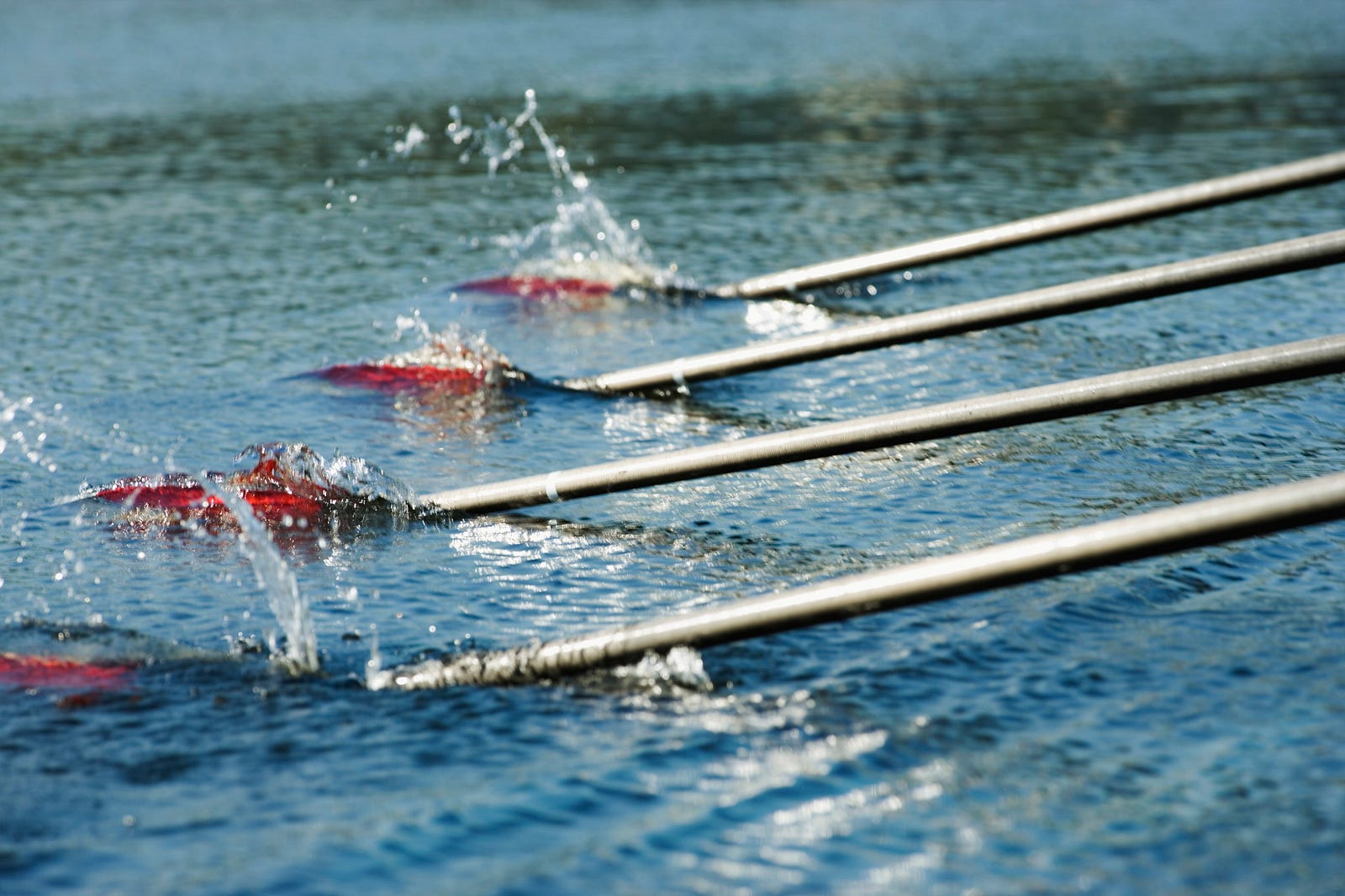 What Rowing Taught Me About Leadership SAP Innovation Spotlight Medium