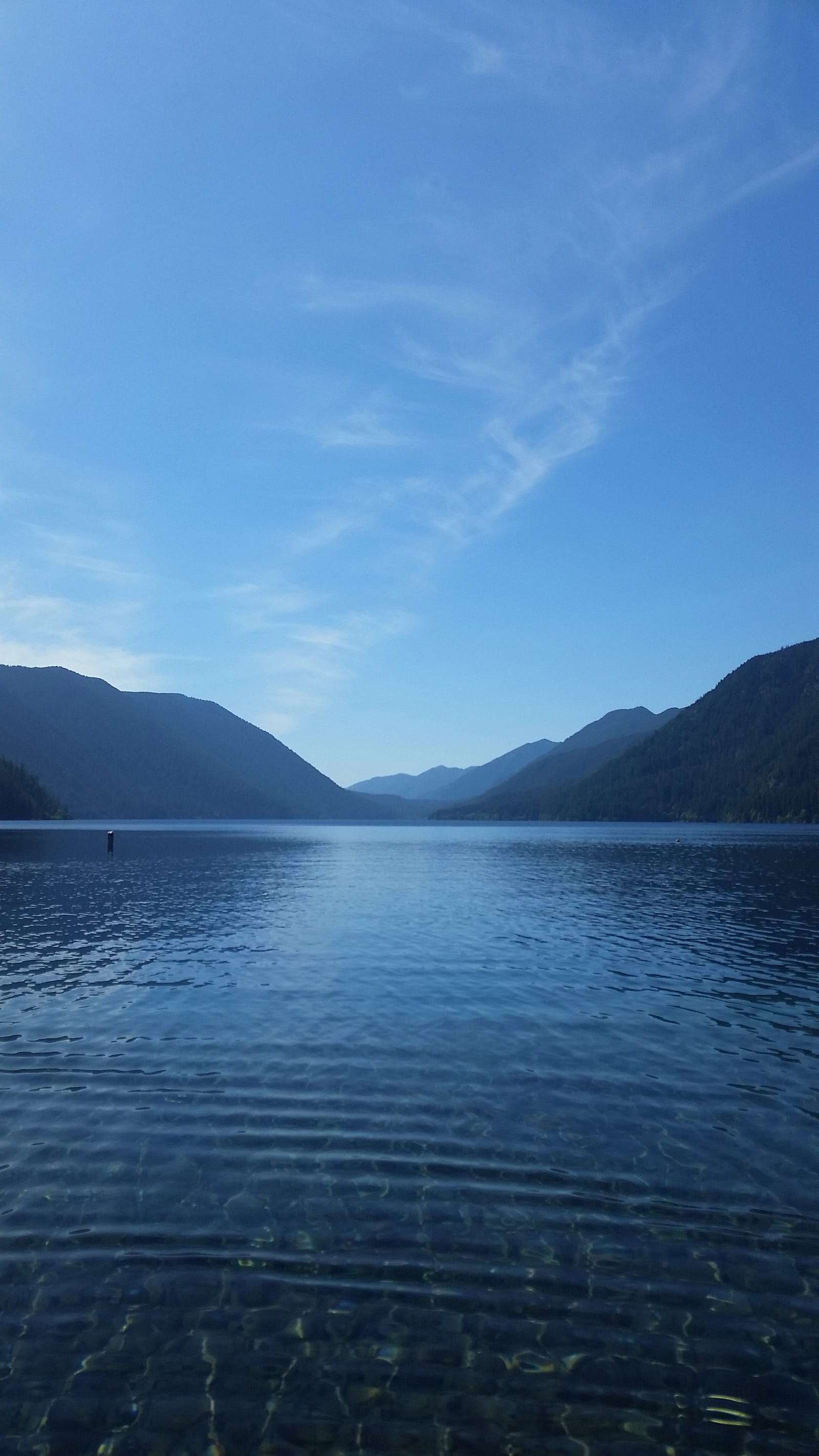 Log Cabin Resort Olympic National Park Chelsea Rae Medium