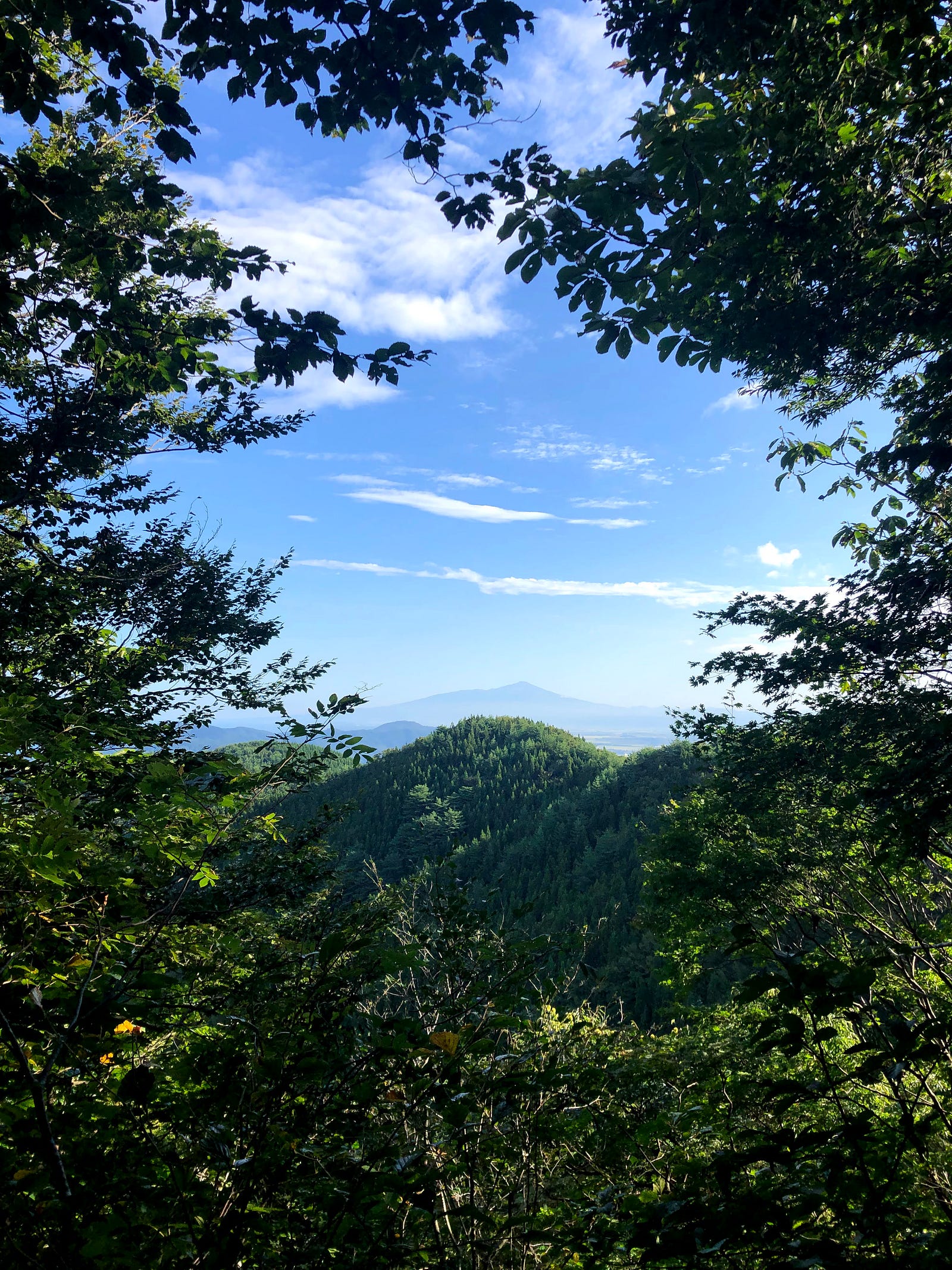 Mt. Chokai sticks out from the middle of trees that surround each side taken on Mt. Fujikura