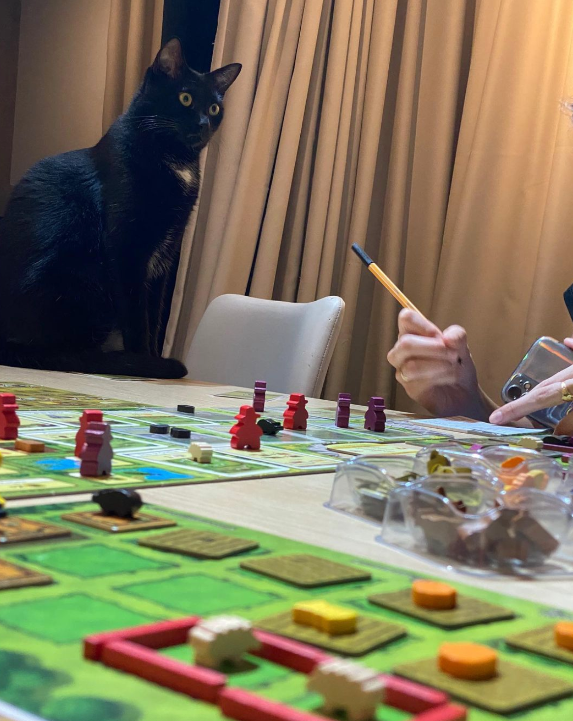 BlackCat Board Games - No Thanks! é um jogo de cartas competitivo