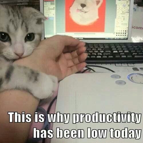 9 Helpful Tips That Will Boost Your Productivity At Home
