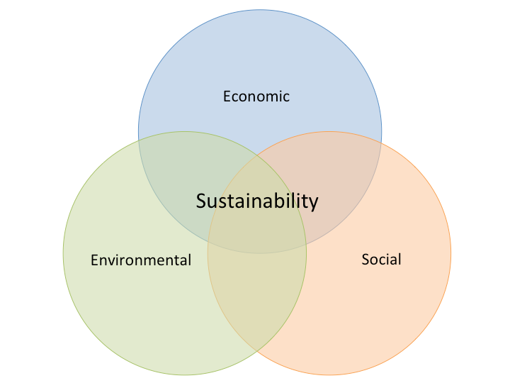 My Top Five Favorite Sustainable Start-ups – Age Of Awareness – Medium