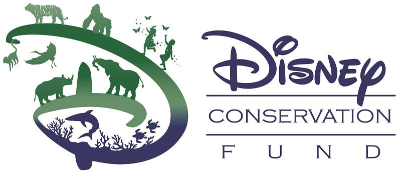 10 Wildlife Grants Your Nonprofit Should Be Applying for this Summer