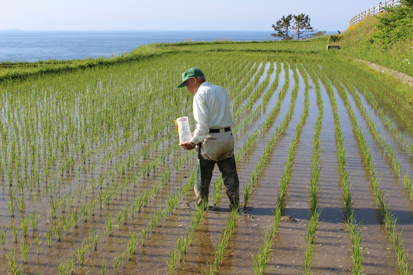 Shiroyone Senmaida A Thousand of Terraced Rice Fields in Ishikawa