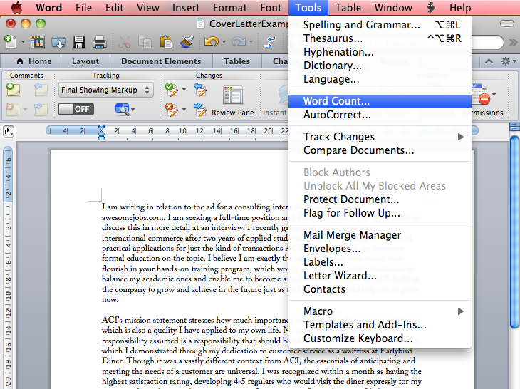 How To Check Word Count On Word Document