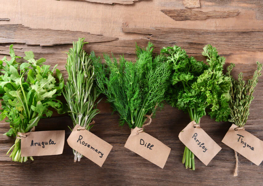 Fresh herbs on the table.