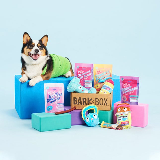 Barkbox A Customizable Subscription To Make Your PUP Feel Loved