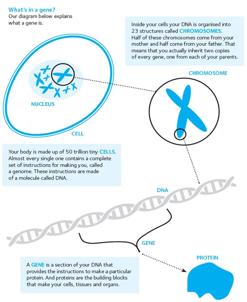 Can Parkinson’s be inherited? – Parkinson’s UK – Medium