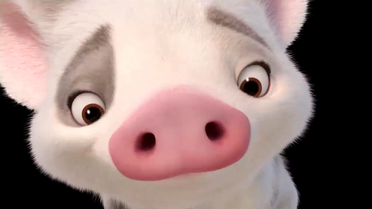 Why The Pig In Moana Stayed Behind 9 Conspiracy Theories