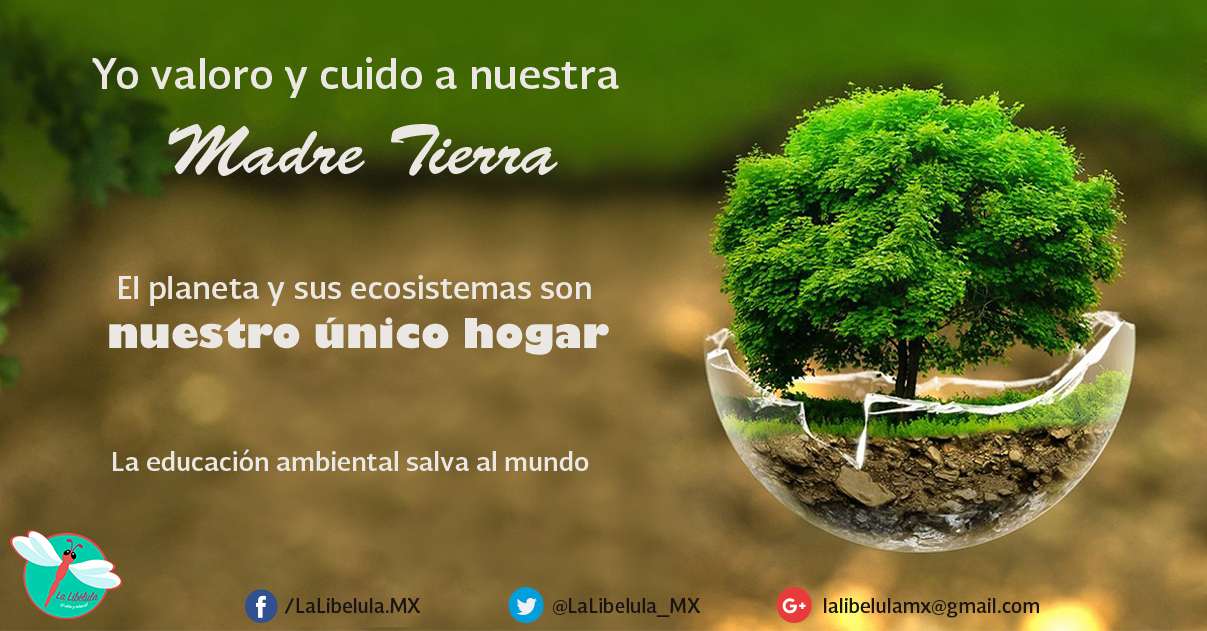 Hoy 22 De Abril Es El Día Mundial De La Madre Tierra ¡vamos A Cuidarla 