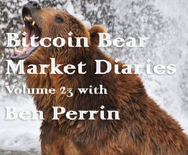 bitcoin bear market diaries)