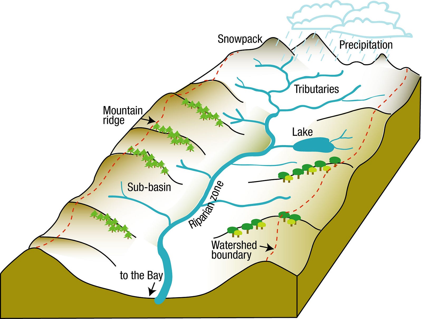 Intuitive Image Processing Watershed Segmentation