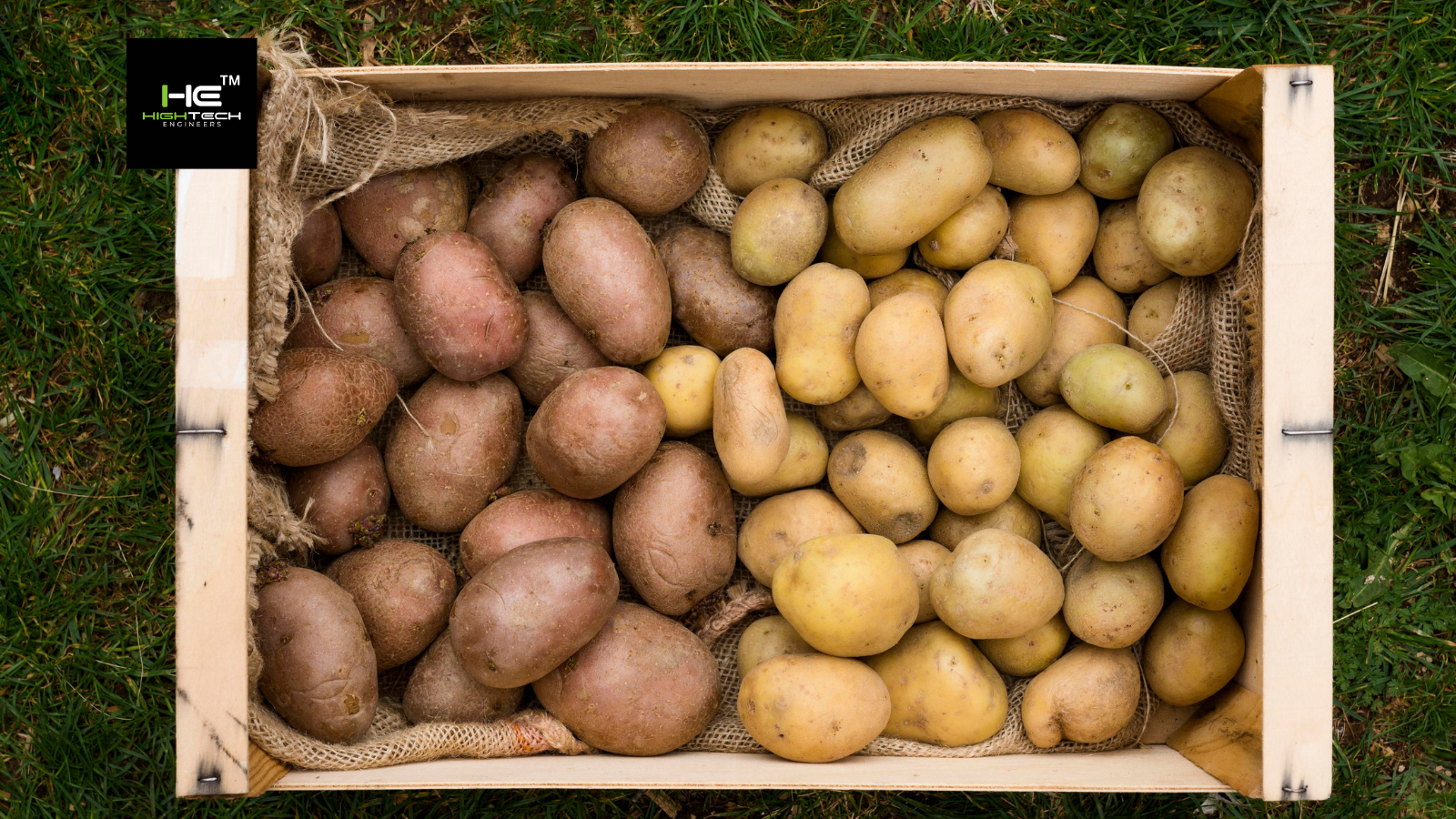 best potato color sorting machine