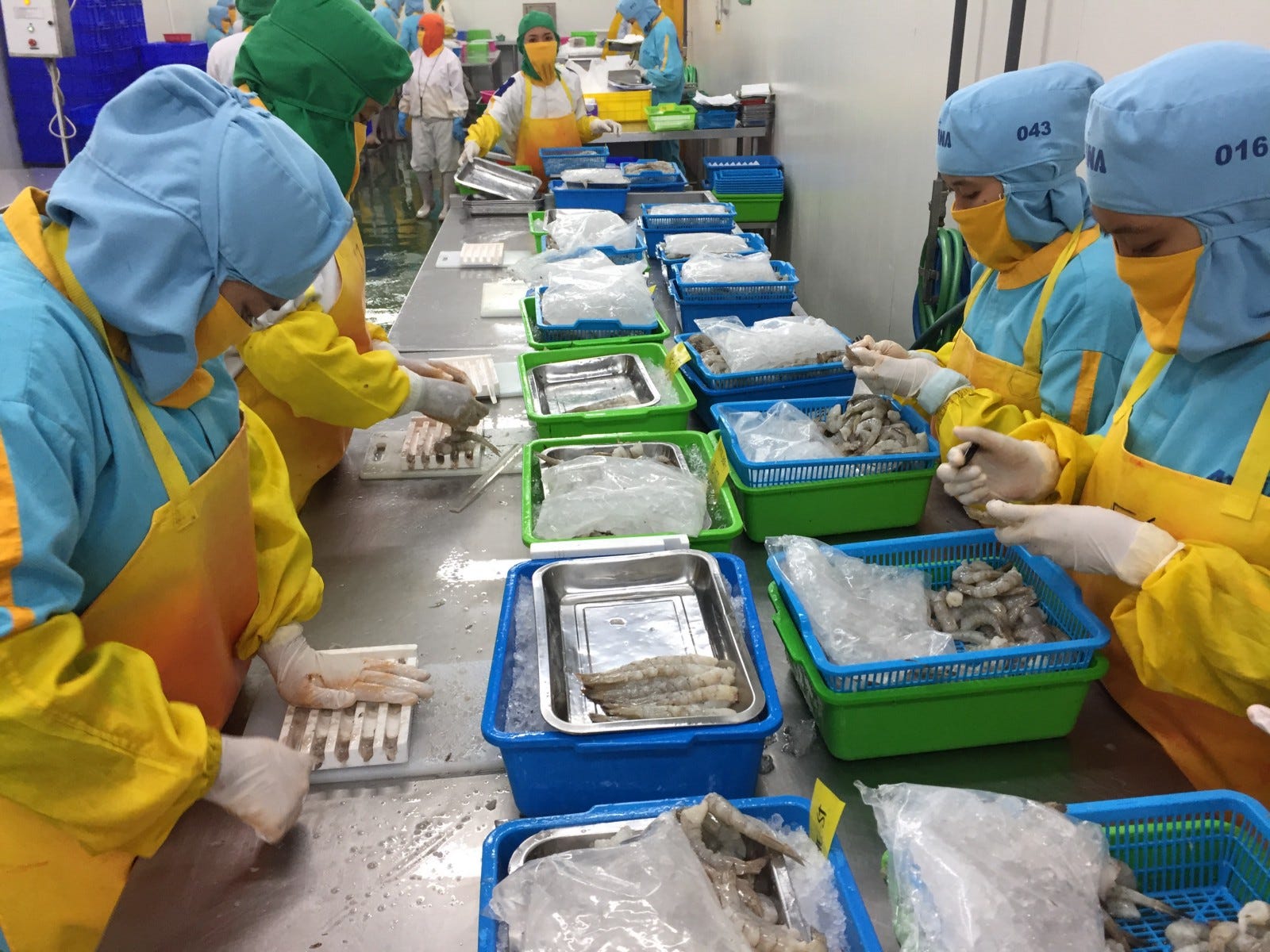 Women and the Seafood Industry — A Case for Fishcoin and a Personal Mission