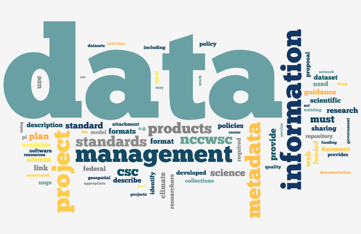 Data dissertation management mining
