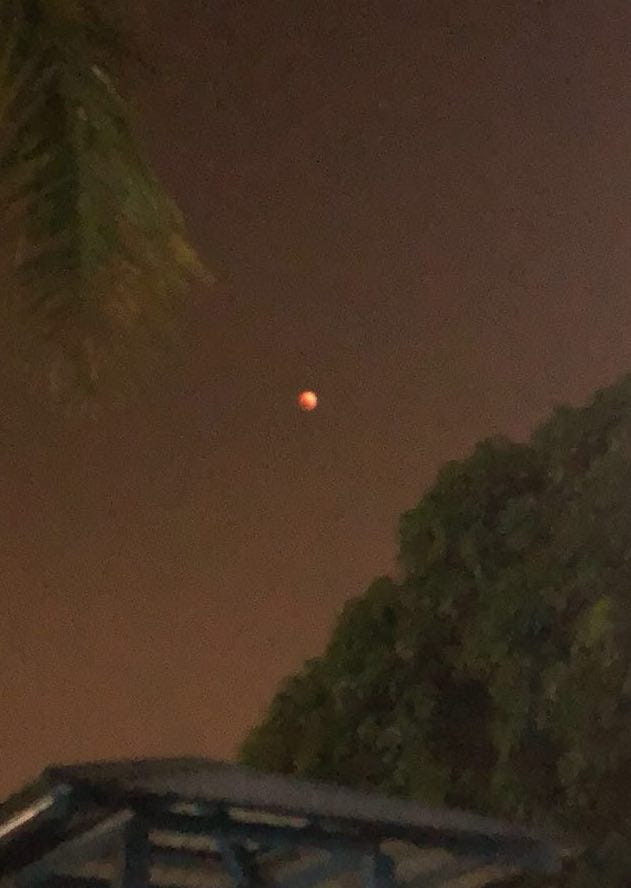 Super Zoom Camera >> Explain to Kids: Super Blue Blood Moon – LittleLives Super Zoom Camera >> Explain to Kids: Super Blue Blood Moon – LittleLives