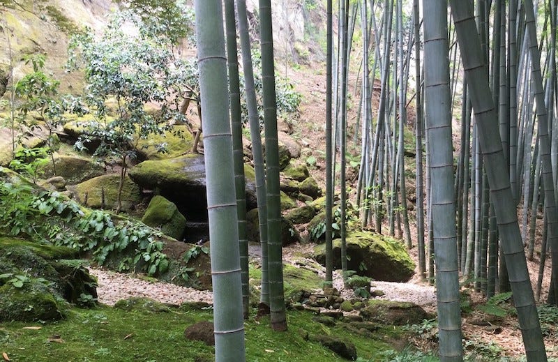 The bamboo grove at Kamakura’s Hokoku-ji temple complex