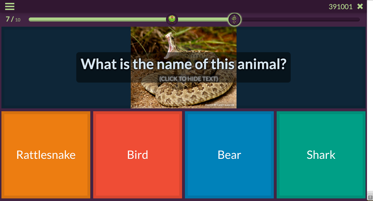 New Question Viewer on Quizizz Game - An upgrade for the ...