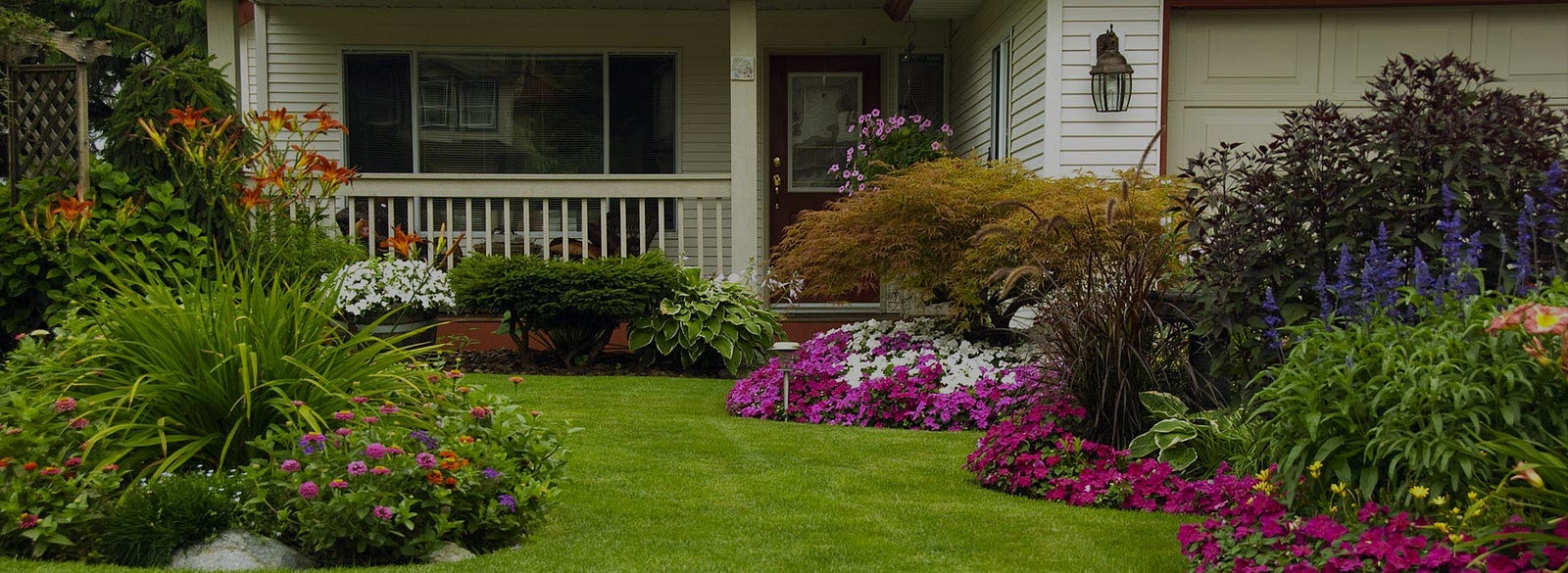 Best Online Plants And Gardens Nursery In Adelaide Gardener S Browse Our Colorful And Unique Range Of Indoor Outdoor Plants We Offer High Quality At Affordable Prices Gardens Online Nursery
