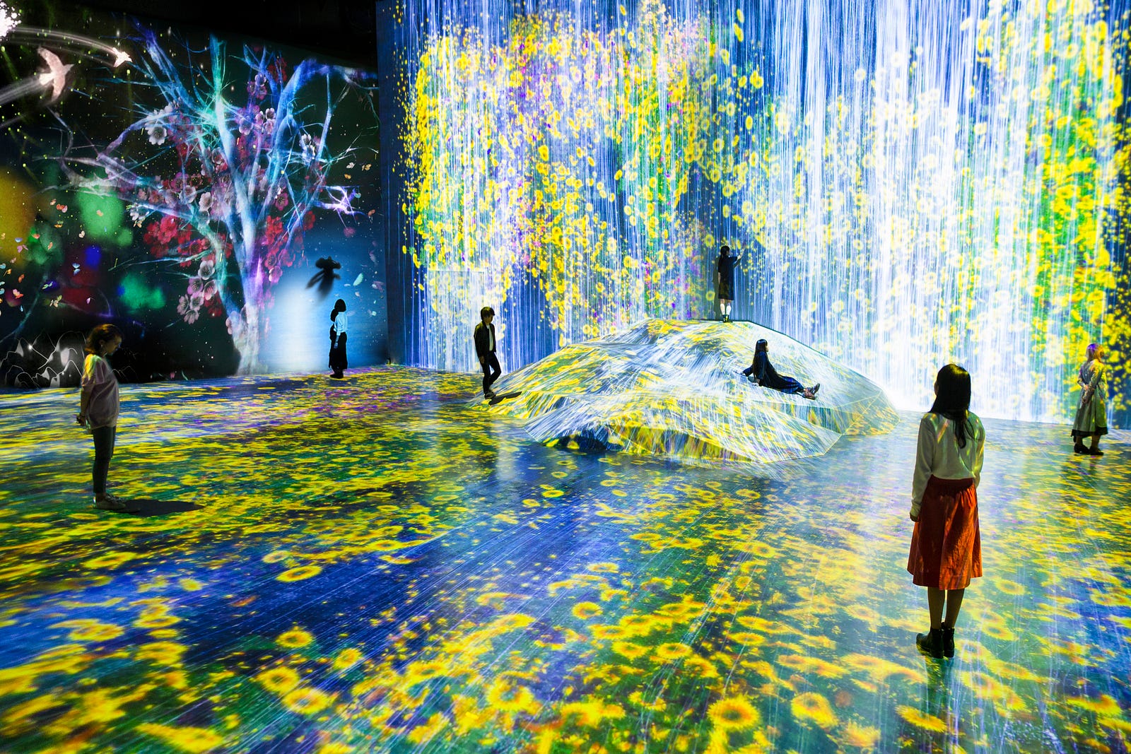 MORI Building DIGITAL ART MUSEUM: EPSON teamLab Borderless-Odaiba, Tokyo