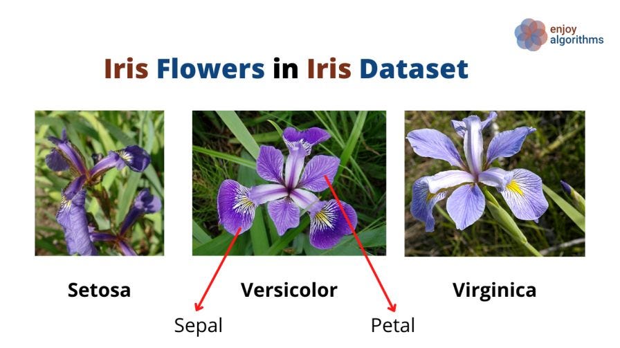 Scikit-learn's Iris dataset visualization 