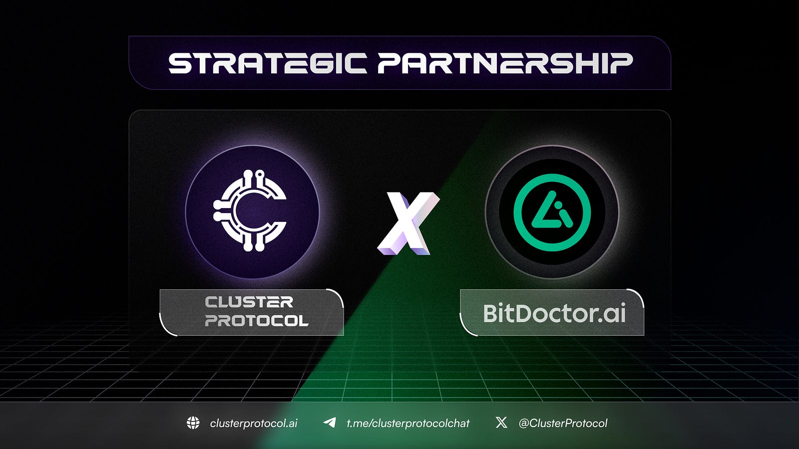 Cluster Protocol and BitDoctor: Revolutionizing AI-Powered Medical Diagnostics with Decentralized Solutions