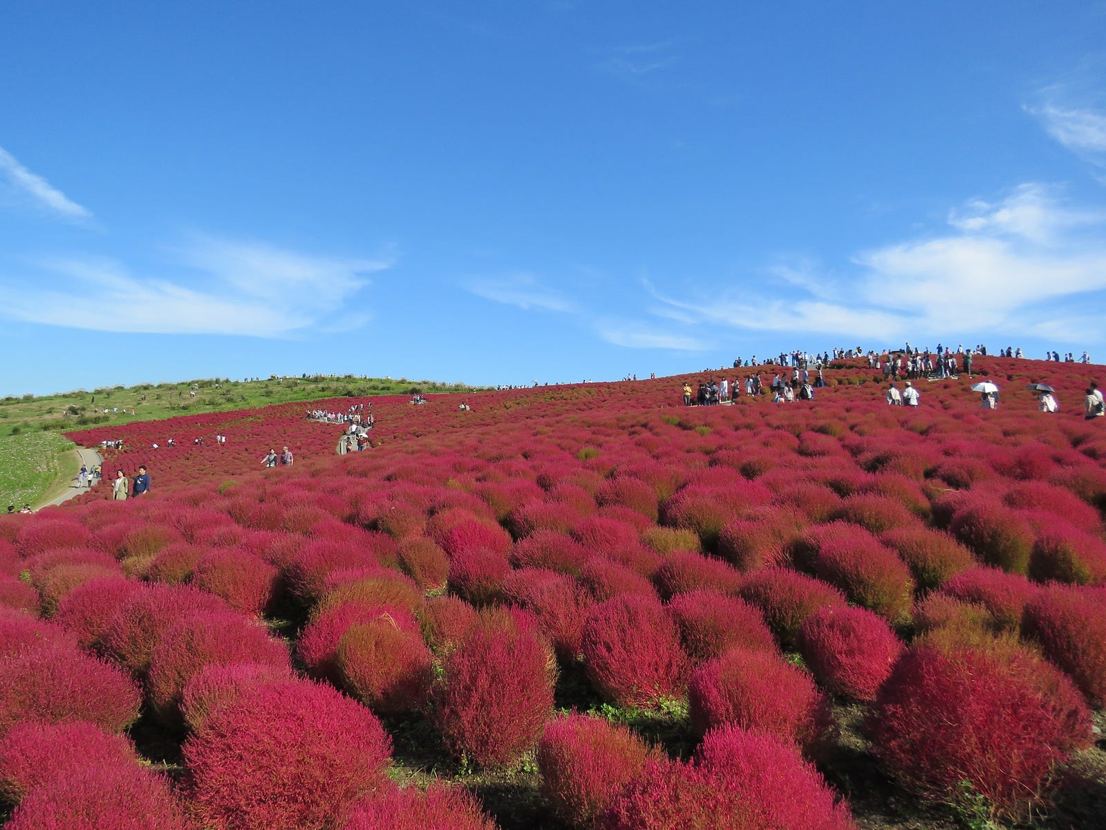 10 Best Places to Visit in Japan in Autumn 2018 – Japan Travel Guide