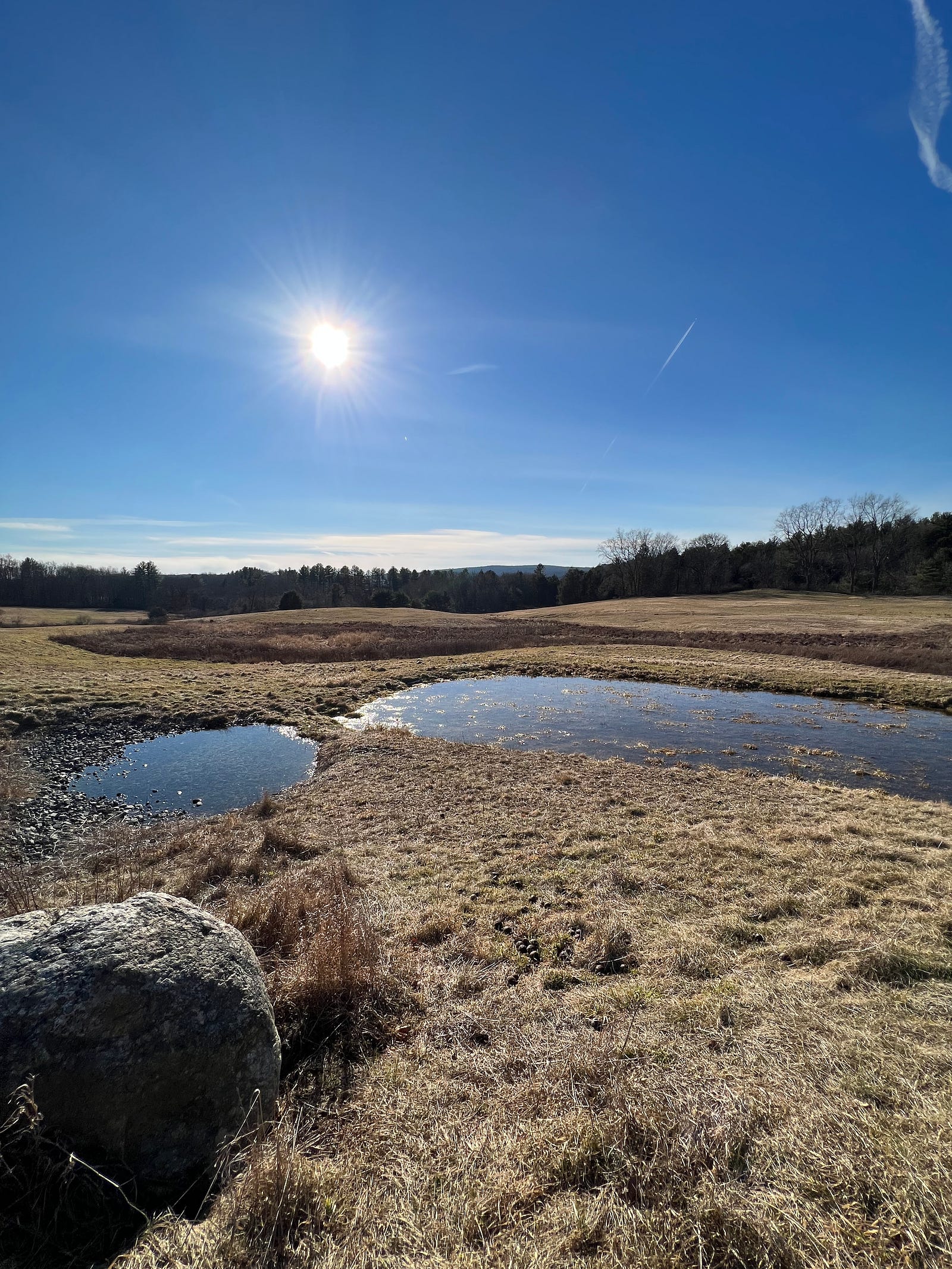 Photo of a pond and field emerging from winter at the Connecticut Audubon Center, Pomfret, CT