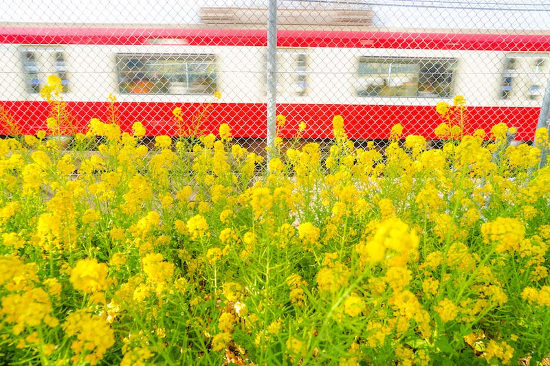 A Keikyu Main Line train heads from Shinagawa to the Miura Peninsula