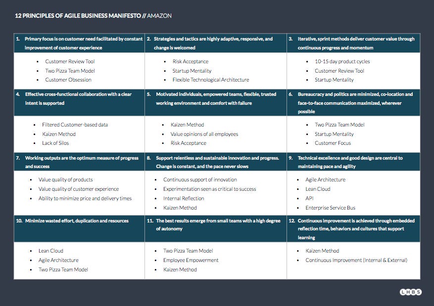 Amazonian Agility – LHBS Collection – Medium