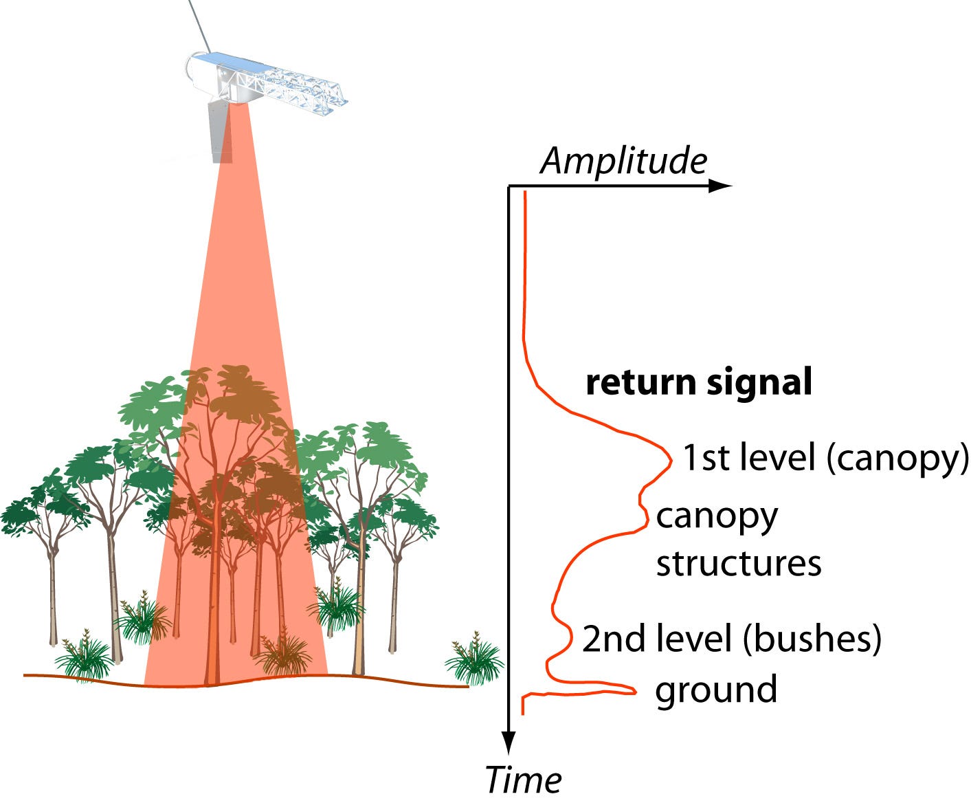 limitations of using radar to estimate vegetation variables