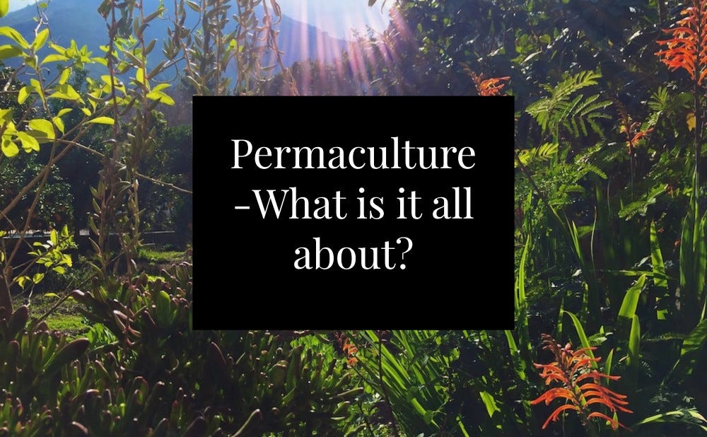 Permaculture what is it all about