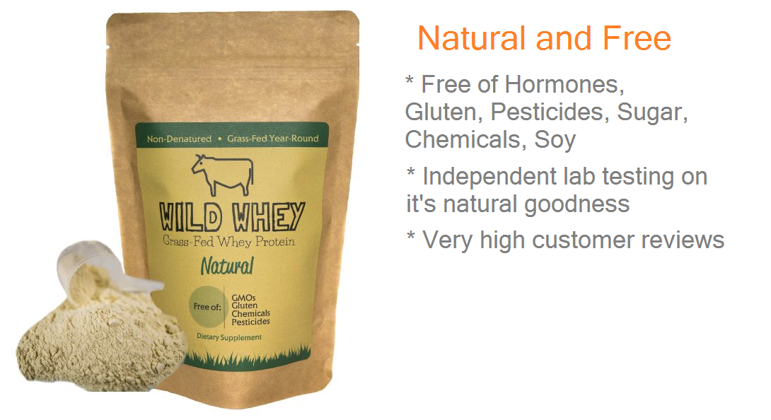 Best Non Denatured Whey Protein Powders from Grass Fed Cows