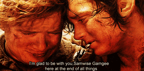 Image result for samwise gamgee