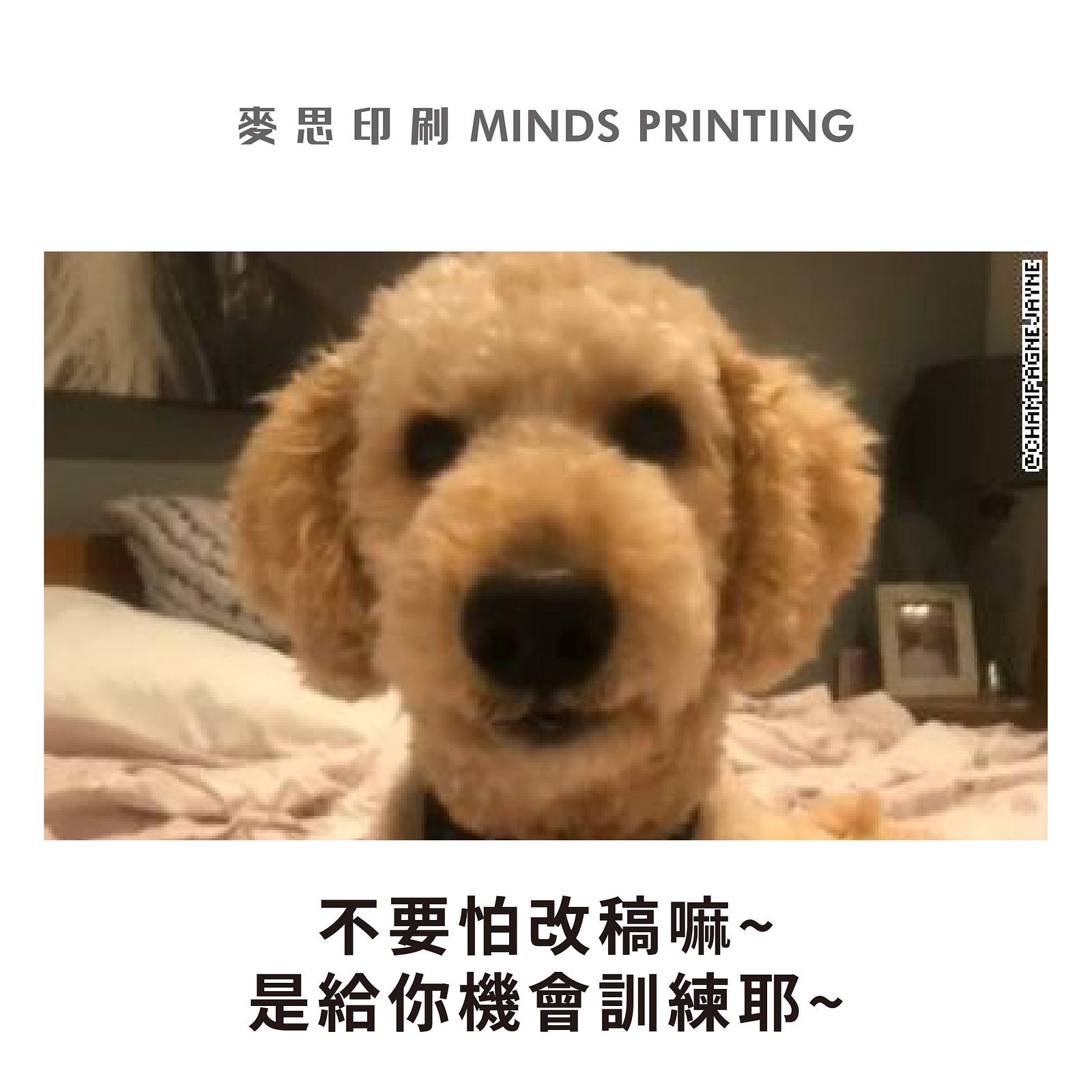 惹怒設計師