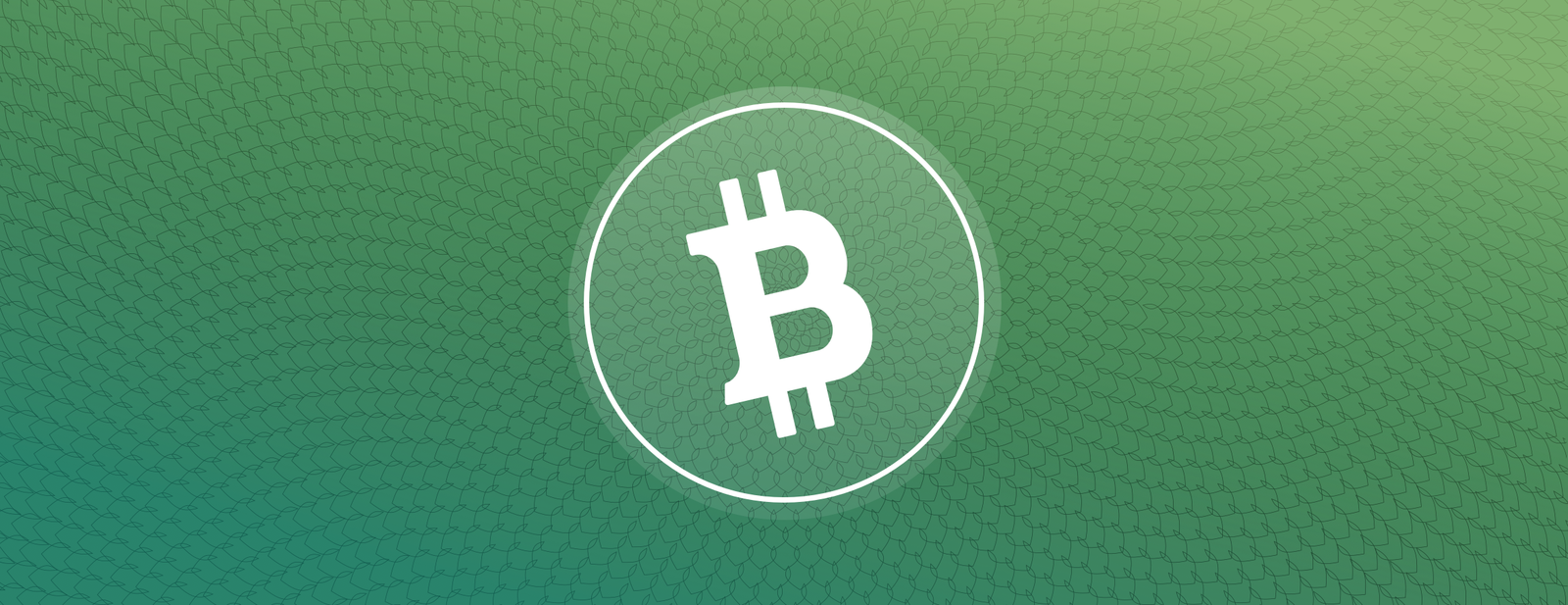 Bitcoin Cash (BCH) – Everything You Need To Know